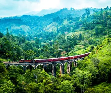 Tips to Book Affordable Sri Lanka Tour Packages from Chennai