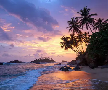 Top Beaches Included in Sri Lanka Tour Packages
