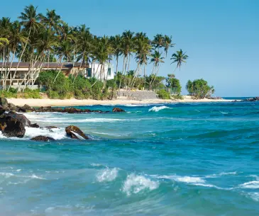 7 Days Sri Lanka Tour Package Itinerary for First-Time Travelers