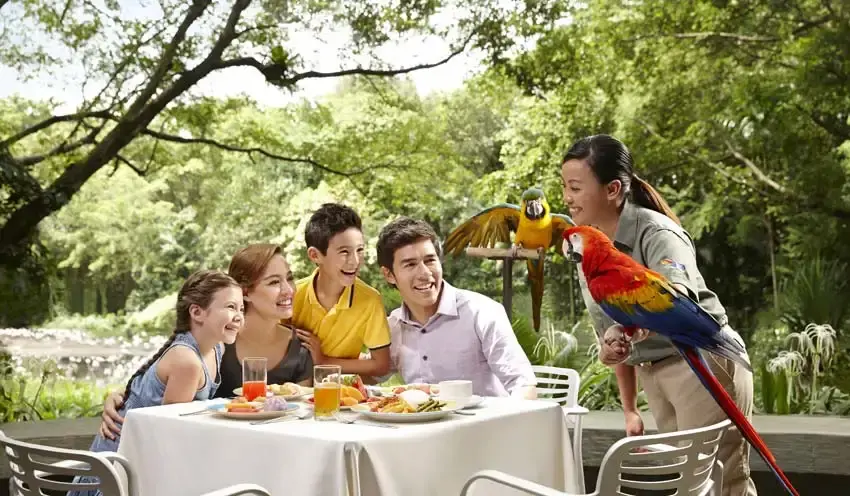 Singapore Tour Package From chennai