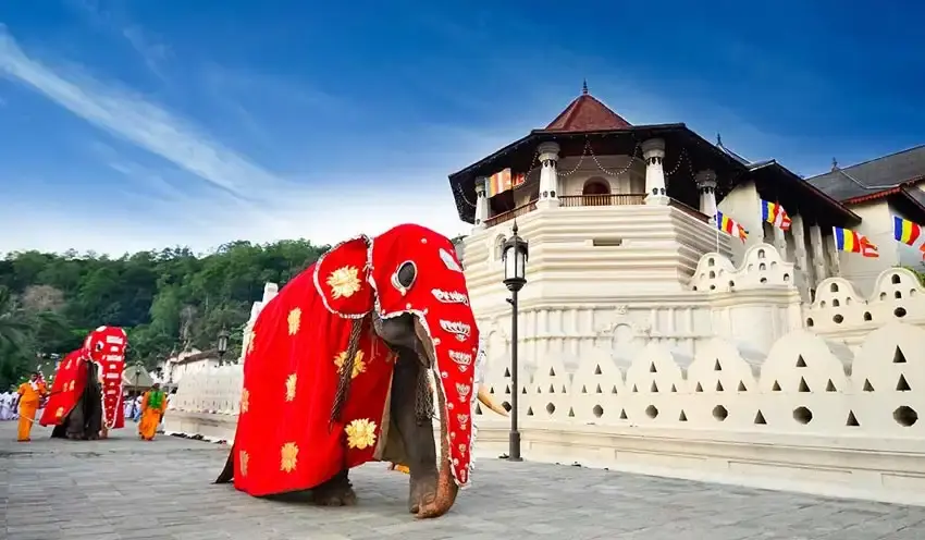 Sri Lanka Tour package from Chennai