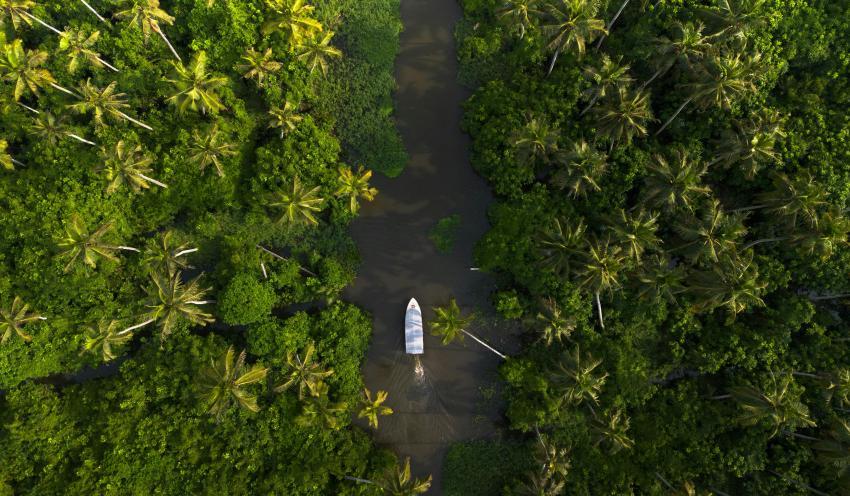 Munnar and Alleppey Tour from Chennai