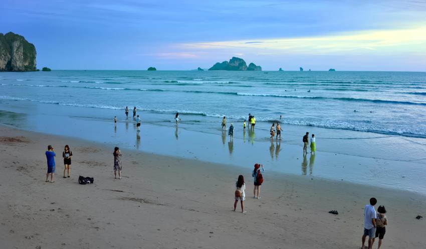 Andaman Tour From Chennai