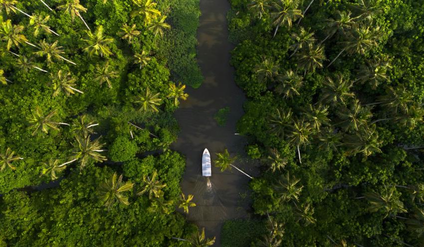 Munnar Thekkady Alleppey Tour package from Chennai