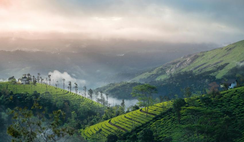 Munnar Thekkady Alleppey Tour package from Chennai