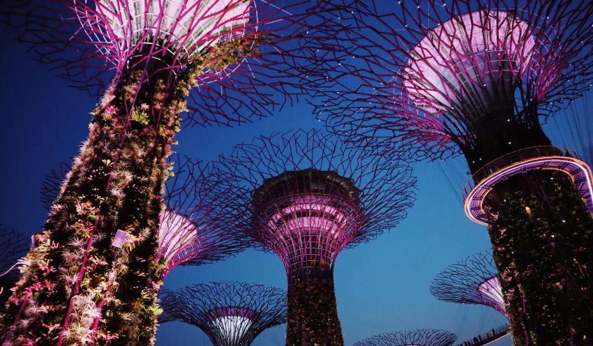 Singapore Honeymoon Package from Chennai