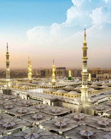 saudi arabia visa image